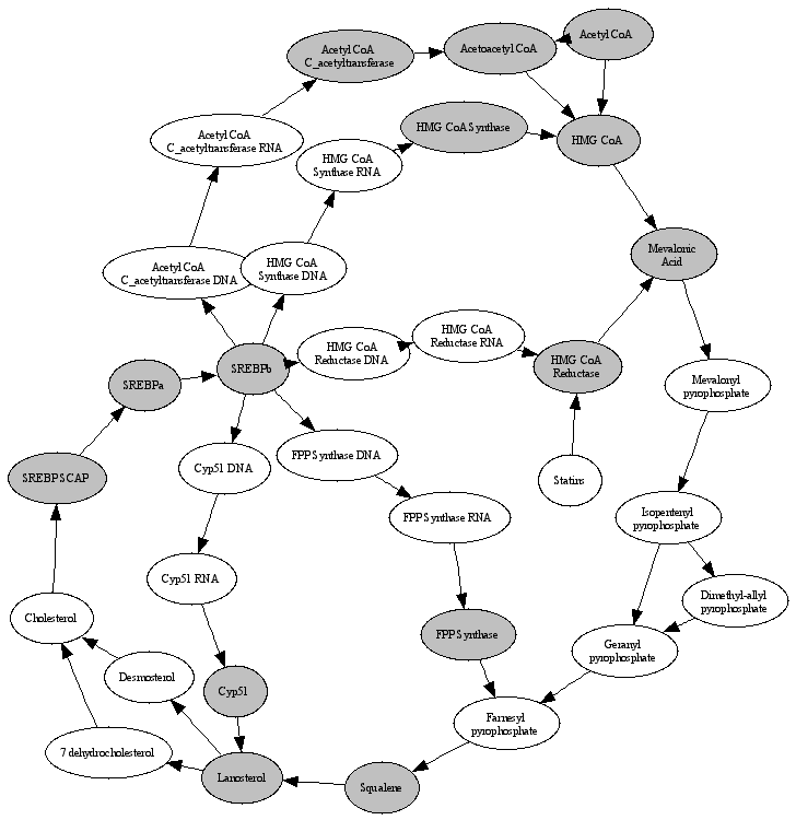 Cycle_2