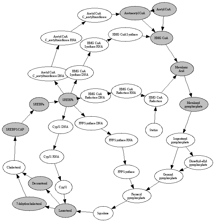Cycle_3